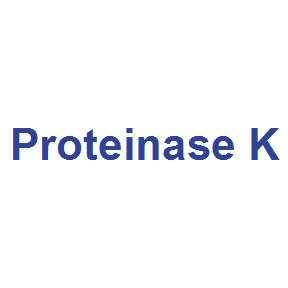 Proteinaes K GF2313